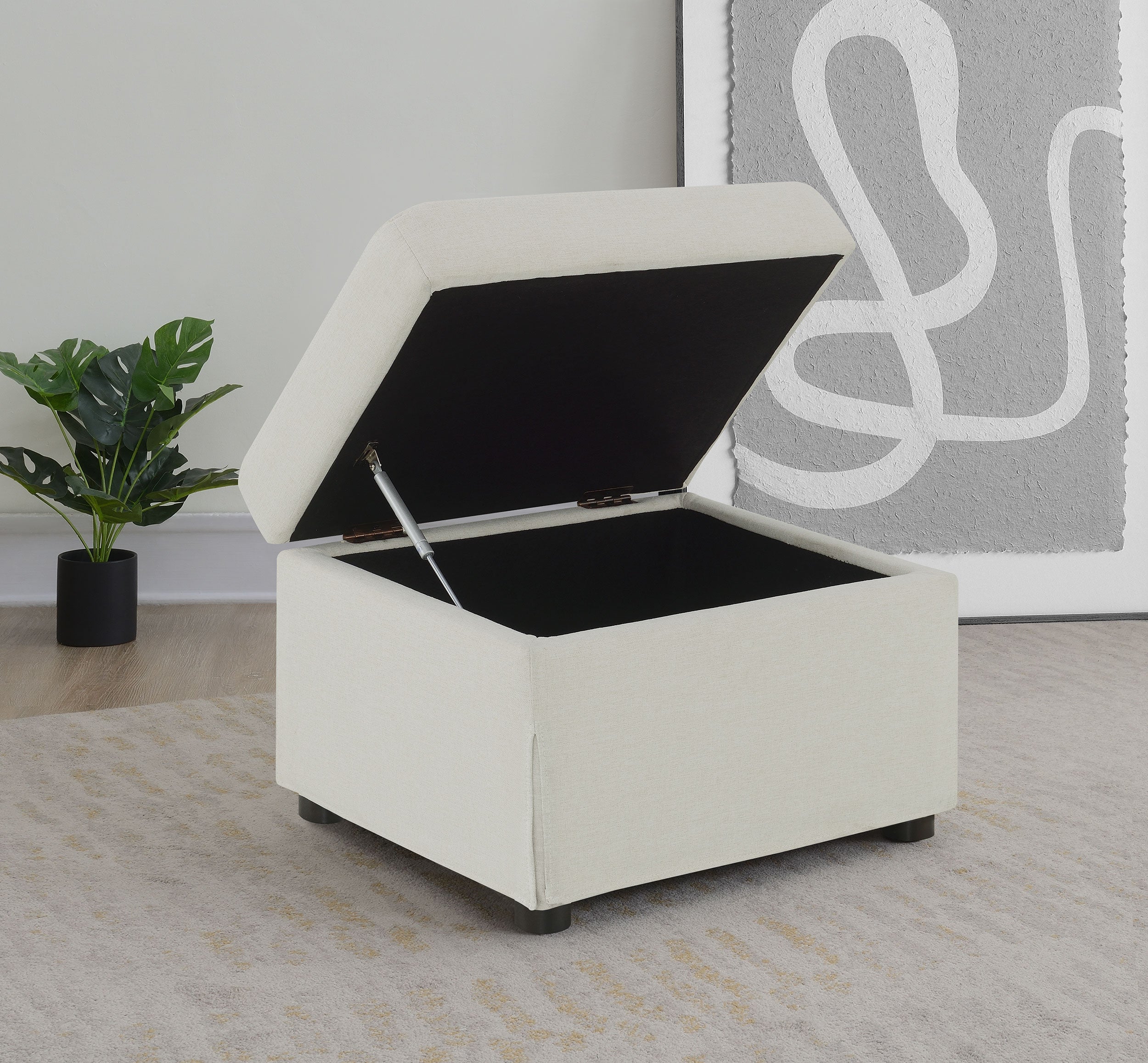 Winter Storage Ottoman - Ideal Furniture (Fresno,CA)