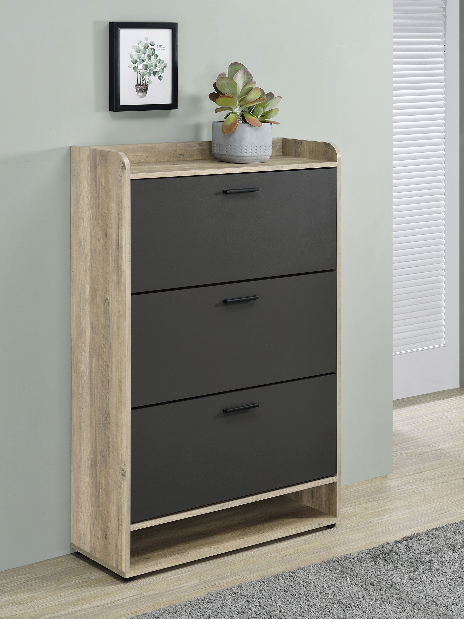 Denia Shoe Cabinet - Ideal Furniture (Fresno,CA)