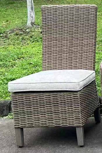 Laguna Heights Side Chair with Cushion (Set of 2) - Ideal Furniture (Fresno,CA)