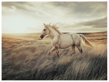 Errolville Wall Art - Ideal Furniture (Fresno,CA)