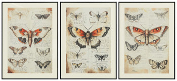 Jossletts Wall Art (Set of 3) - Ideal Furniture (Fresno,CA)