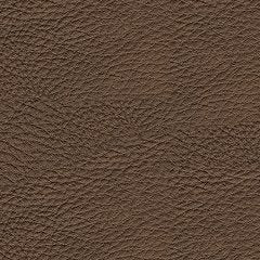 Knightington Power Reclining Sofa with Audio Seating - Ideal Furniture (Fresno,CA)