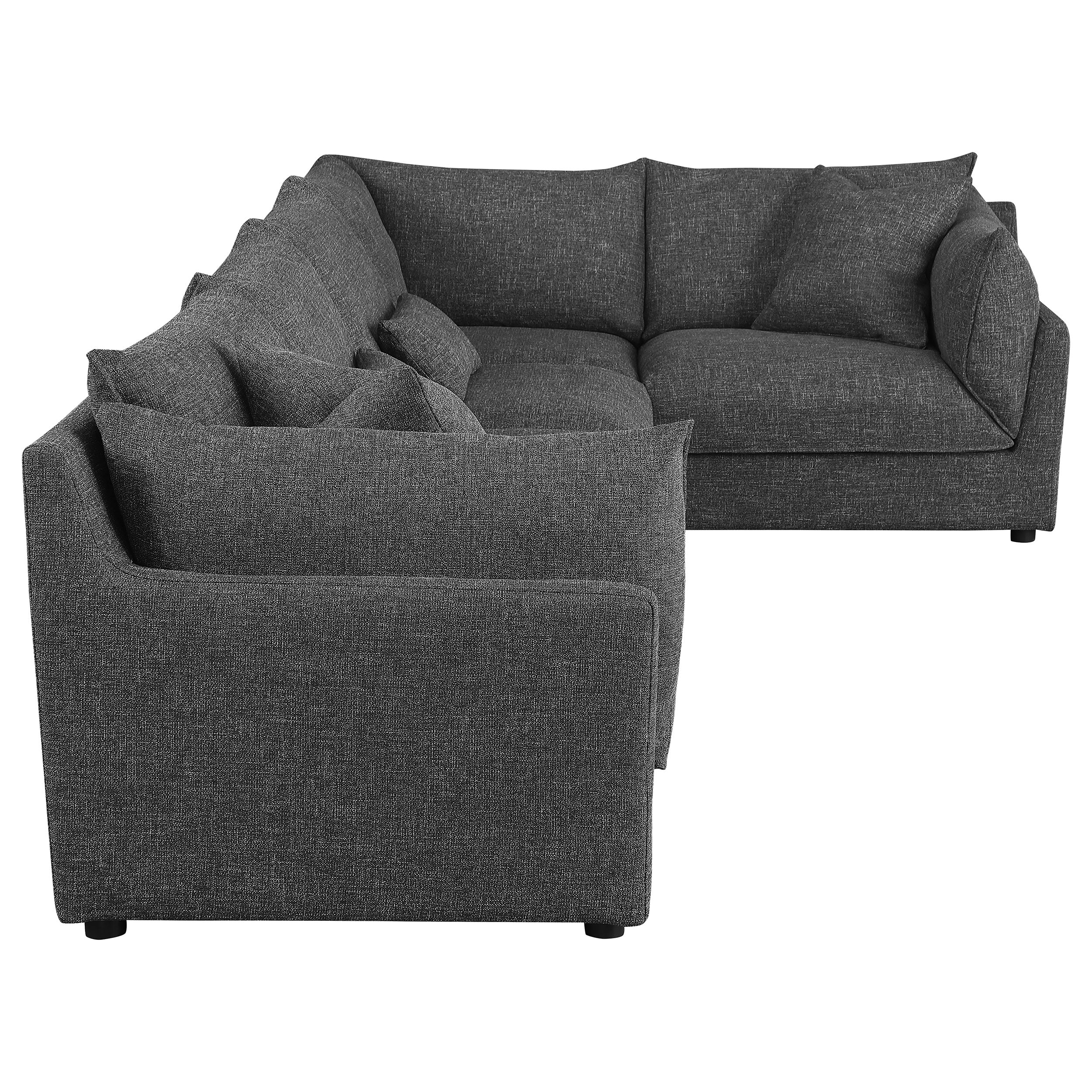 Sasha Modular Sectionals 2