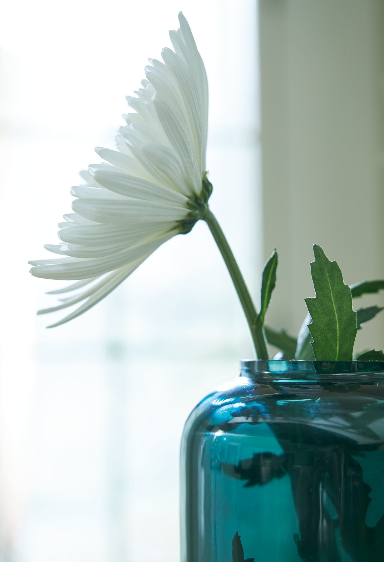 Inisland Vase - Ideal Furniture (Fresno,CA) 