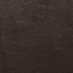 Kimonte Dining Chair - Ideal Furniture (Fresno,CA) 