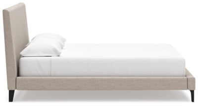 Cielden Upholstered Bed with Roll Slats - Ideal Furniture (Fresno,CA) 